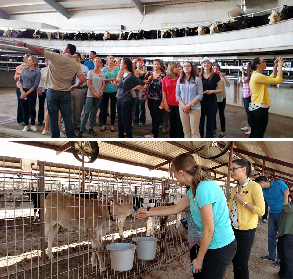 Arizona State Students to Agriculture and Food Production